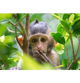 Double card, print inside 25216