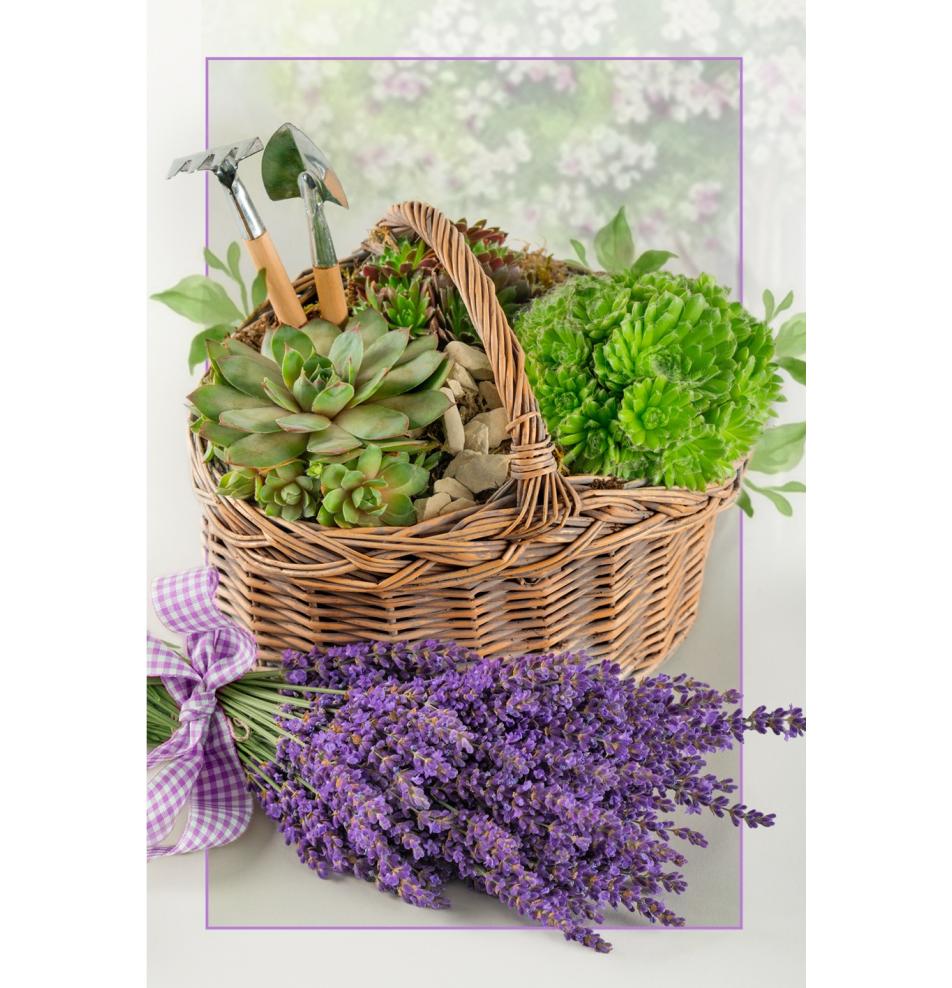 Double card, with envelope, in cooperation with Ziedot.lv