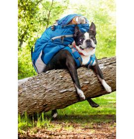 Dubulta kartīte, apdruka iekšpusē 25044