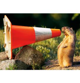 Dubulta kartīte, apdruka iekšpusē 25055