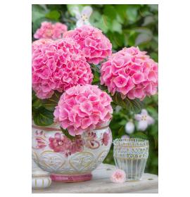 Standard double card, print inside 26533