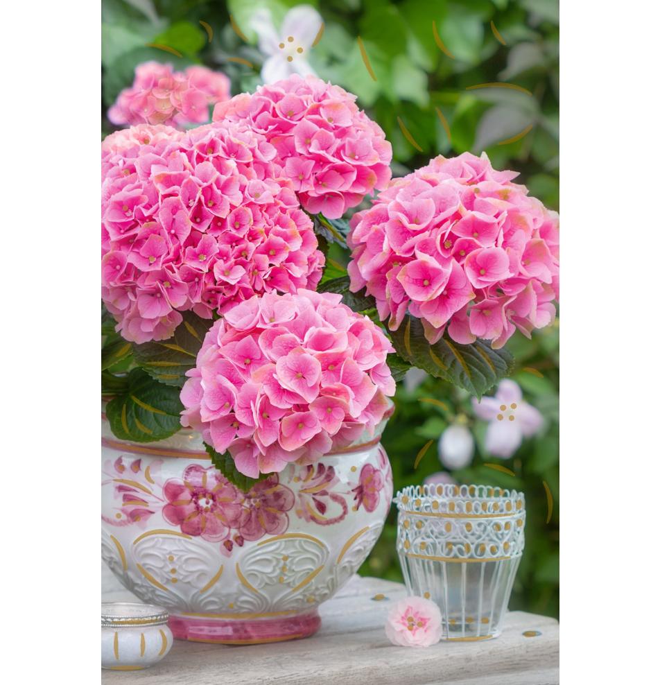 Standard double card, print inside