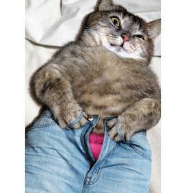 Dubulta kartīte, apdruka iekšpusē 23314