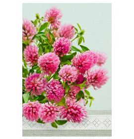 Standarta dubulta kartīte, apdruka iekšpusē 26492