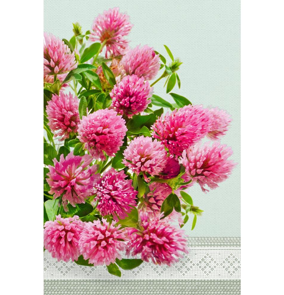 Standarta dubulta kartīte, apdruka iekšpusē