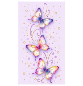 Kartīte, naudas aploksne 27343-0