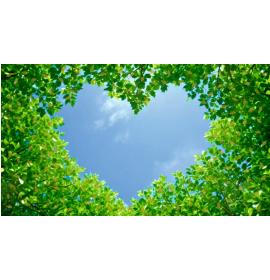 Kartīte, naudas aploksne 27361-0