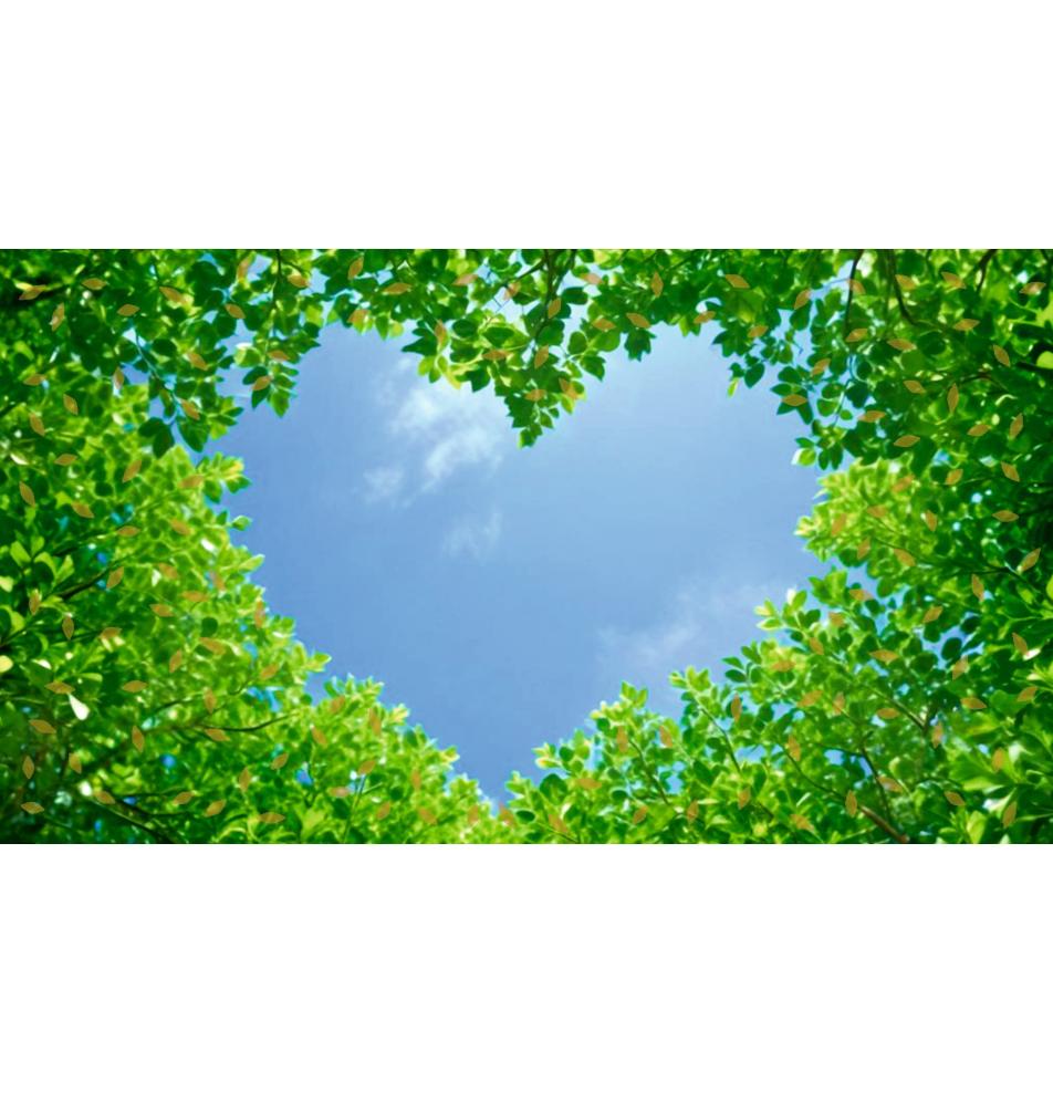 Kartīte, naudas aploksne