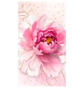 Money envelope card 27363-0