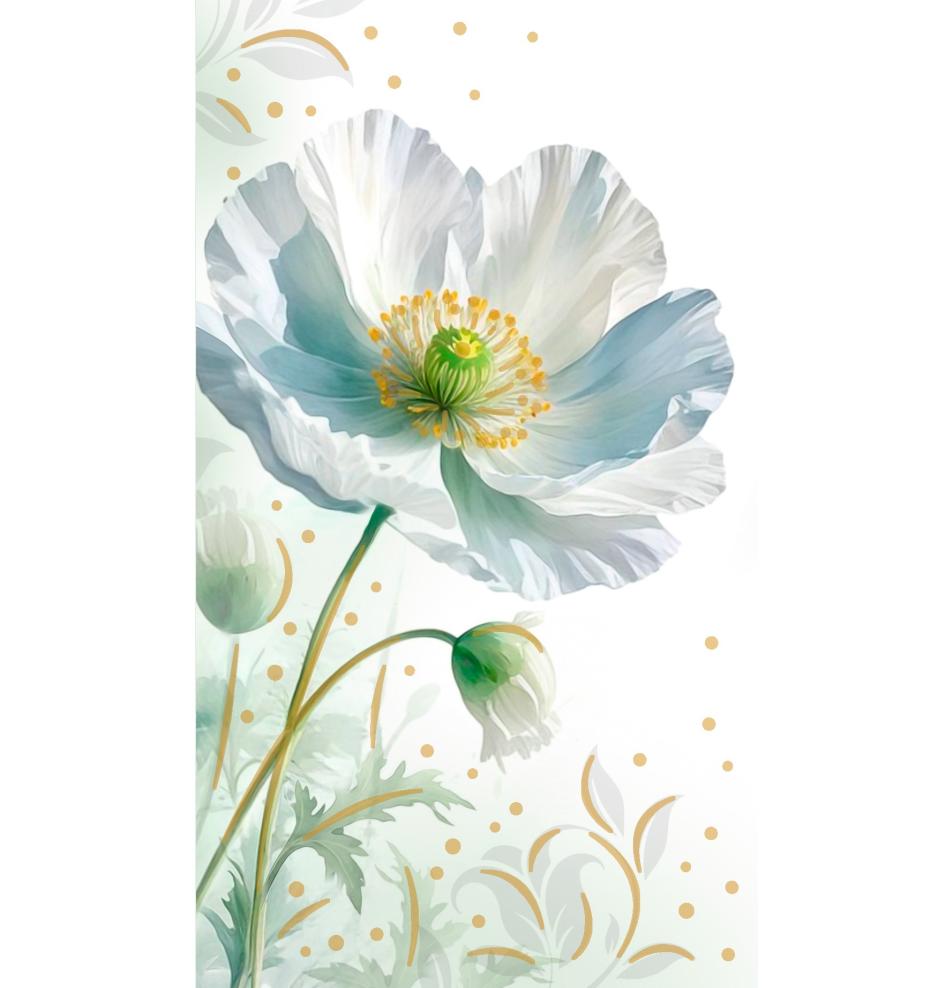 Money envelope card
