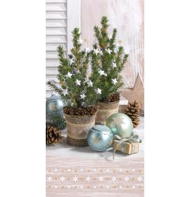 Dubulta kartīte, apdruka iekšpusē 23527