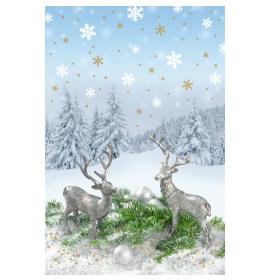 Standarta dubulta kartīte, apdruka iekšpusē 23440