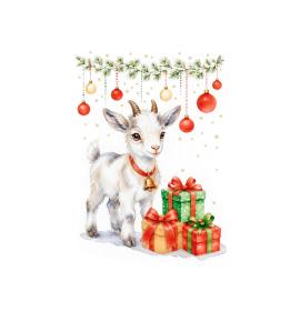 Card with envelope 27575