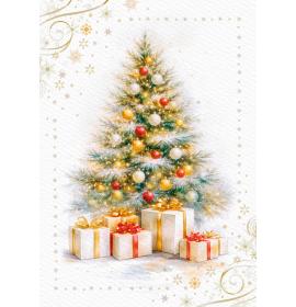 Double card, with envelope, in cooperation with Dr.Klauns 27474-0