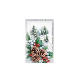 Gift card, small, double (figural) 27702