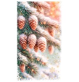 Money envelope card 27514-0