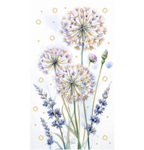 Money envelope card