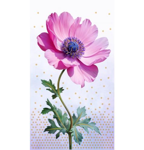 Money envelope card