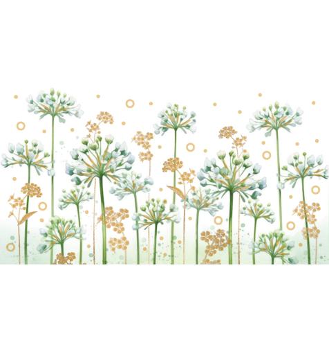 Money envelope card