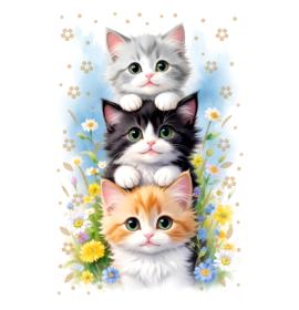 Standarta dubulta kartīte, apdruka iekšpusē 26103