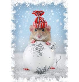 Double card, with envelope, in cooperation with Dr.Klauns 25362