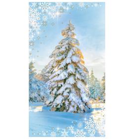 Kartīte, naudas aploksne 25698