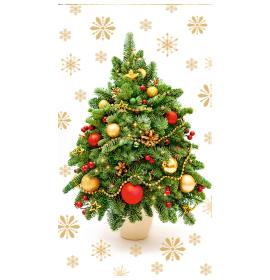 Money envelope card 25713