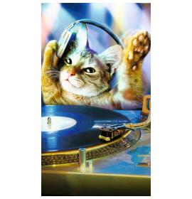 Kartīte, naudas aploksne 16755