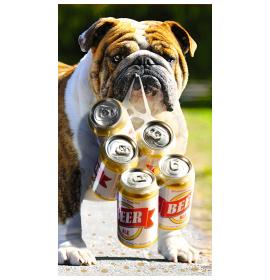 Kartīte, naudas aploksne 20236