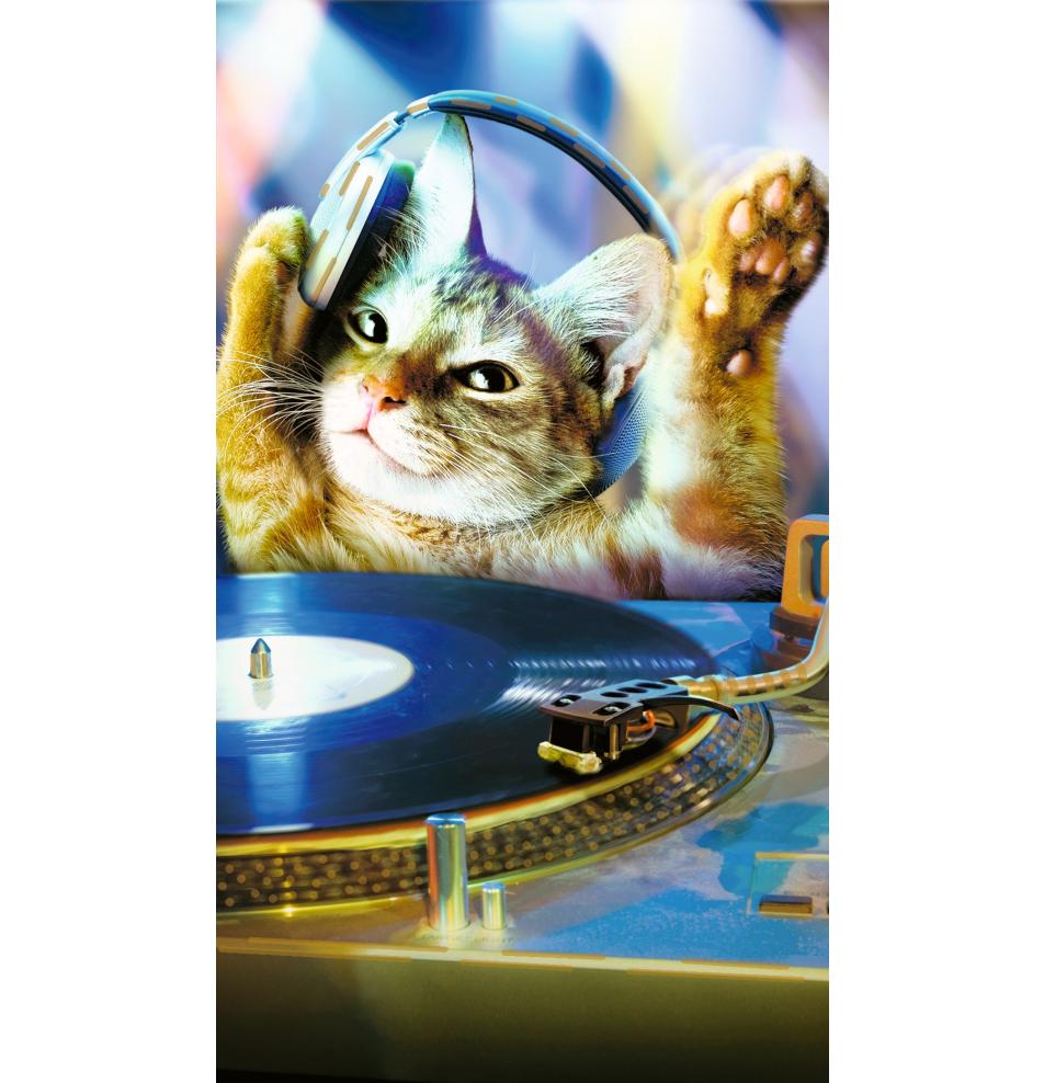 Kartīte, naudas aploksne