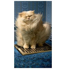 Money envelope card 20410