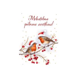 Dāvanu kartīte 26634