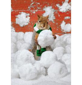 Double card, print inside 26593