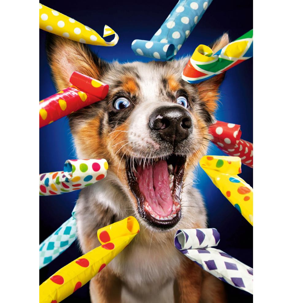 Double card, print inside