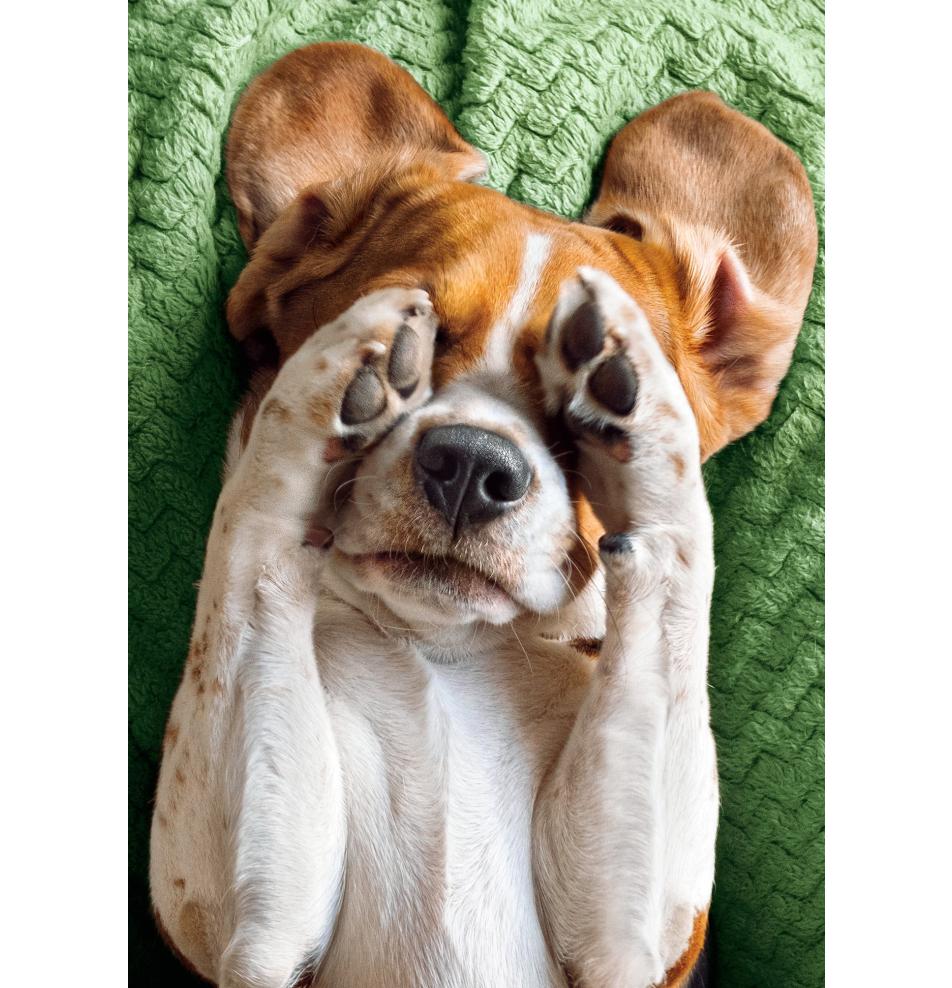 Double card, print inside