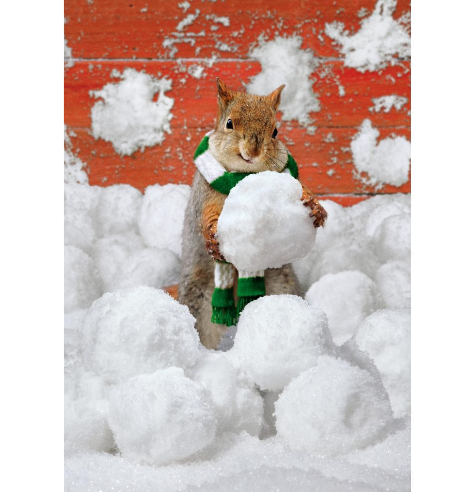 Double card, print inside