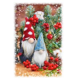 Double card, with envelope, in cooperation with Dr.Klauns 26438