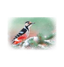 Double card, with envelope, in cooperation with Service dog association Teodors 26619