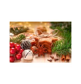 Double card, with envelope, in cooperation with Service dog association Teodors 26620