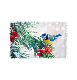 Double card, with envelope, in cooperation with Service dog association Teodors 26624