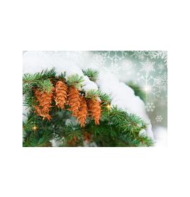 Double card, with envelope, in cooperation with Service dog association Teodors 26626