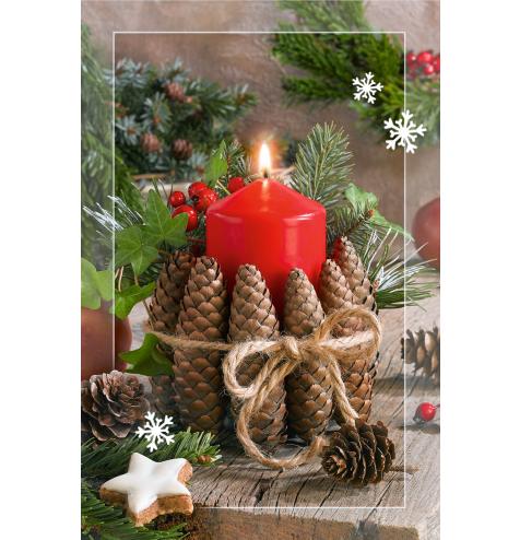 Double card, with envelope, in cooperation with Service dog association Teodors