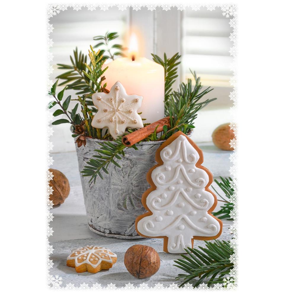 Double card, with envelope, in cooperation with Service dog association Teodors