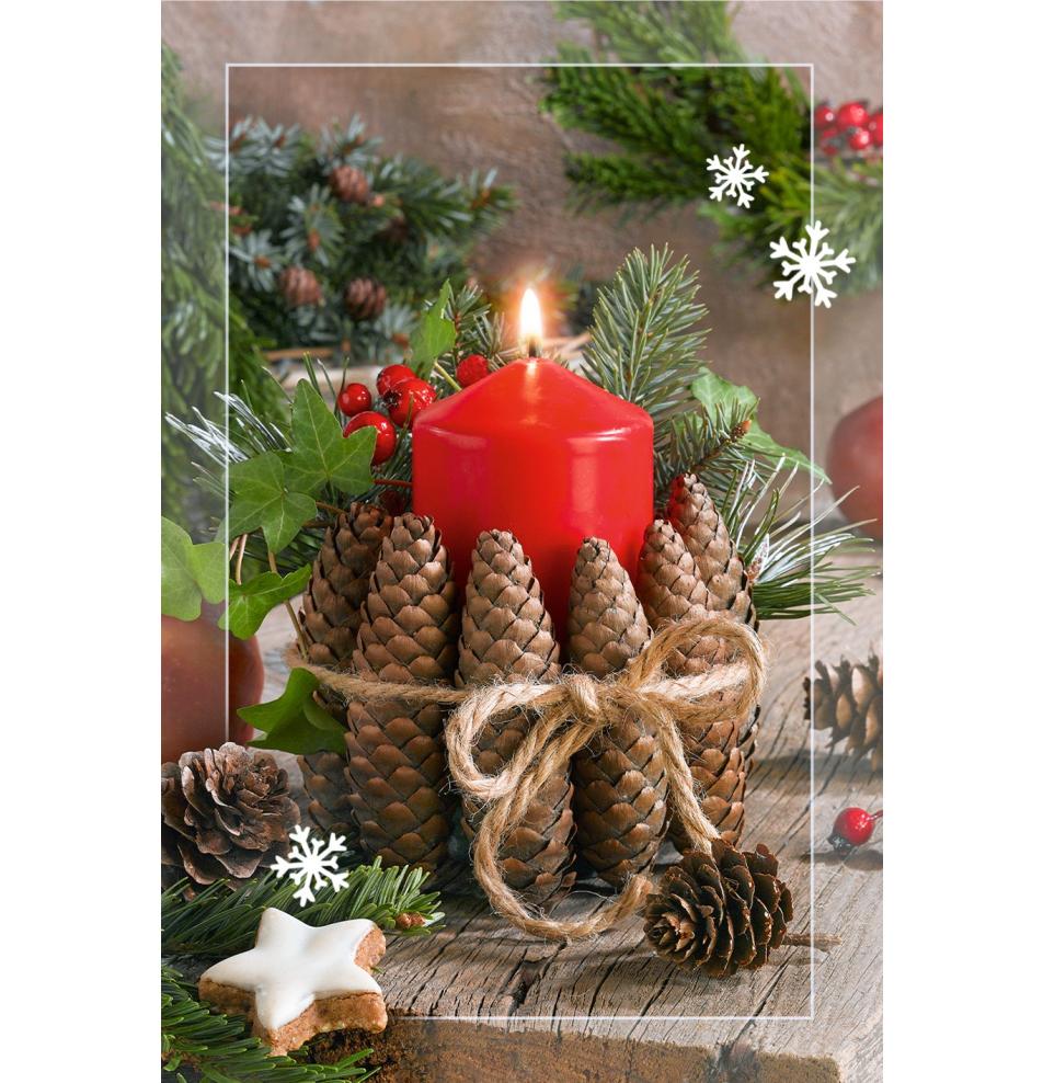 Double card, with envelope, in cooperation with Service dog association Teodors