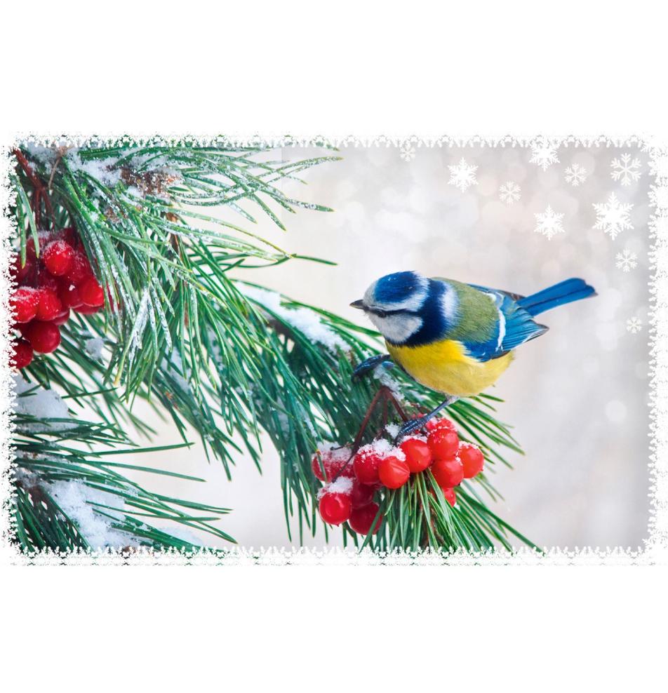 Double card, with envelope, in cooperation with Service dog association Teodors