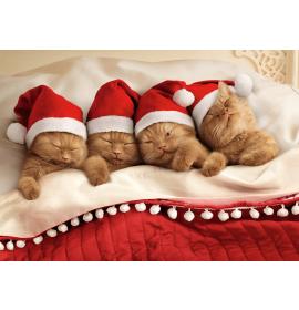 Dubulta kartīte, apdruka iekšpusē 26597