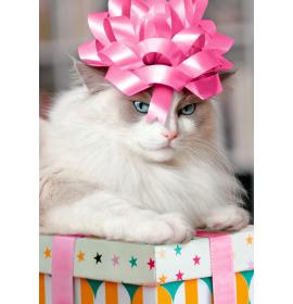 Dubulta kartīte, apdruka iekšpusē 26895