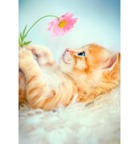 Dubulta kartīte, apdruka iekšpusē 26900