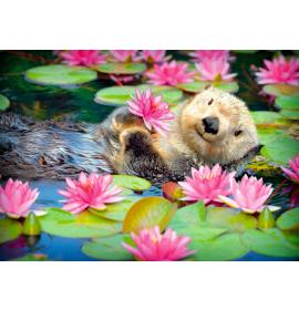 Dubulta kartīte, apdruka iekšpusē 26907