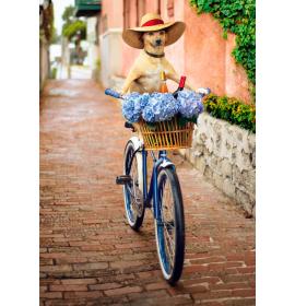 Dubulta kartīte, apdruka iekšpusē 26909